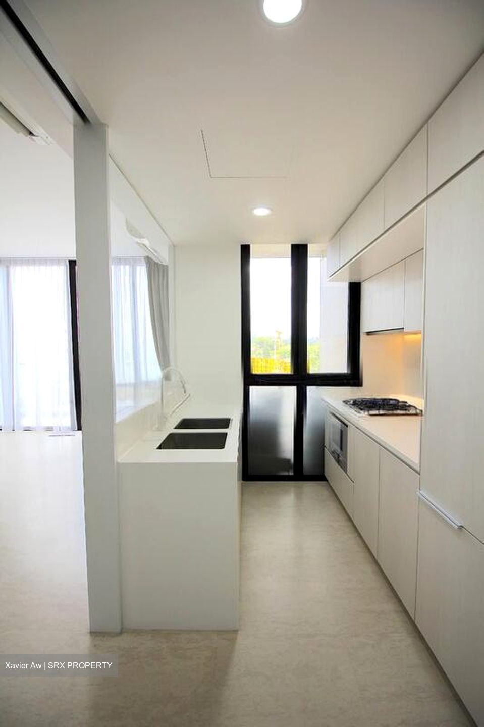 Fulcrum (D15), Condominium #500253701